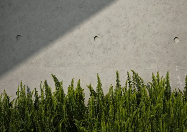 Žalios paparčių gėlės priešais pilką betono sieną su apvaliomis skylutėmis.